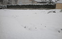 Nieve