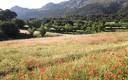 PRIMAVERA EN MARIA