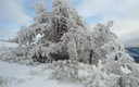 La nieve no se quiere ir de La Rioja