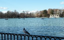 PASEO SIN NIEVE