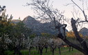 son molina 2013