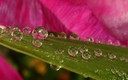 Gotas mágicas II