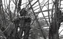 Tras la lluvia