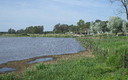 Marismas del Rocío