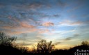 Atardecer en Tierras de Tudela de Duero