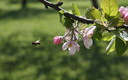 Primavera en Valderredible