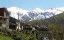 Verde y blanco
