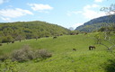 ---. PARQUE NATURAL DE VALDEREJO -- Primavera