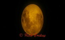 La Luna en Roses