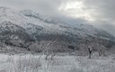 nevada 2012