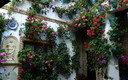 Patios y Jardines