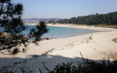 O Grove