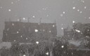 Nevada en Medellín