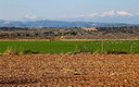 Somontano de Barbastro