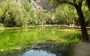 El lago verde