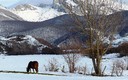 Nieve en Tremaya