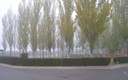 La Cisterniga una mañana de niebla