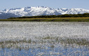 Laguna de Caña el Gallo, Hoyos del Collado, Avila