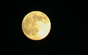 vaya luna