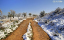 Paisaje de nieve