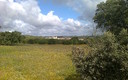 Paisaje de primavera