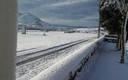 nevada