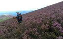 Subiendo AL MIRAVALLES