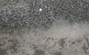 Tormenta miedosa