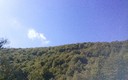 Paseo por Roncesvalles y alrededores 1