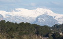 Puig Major