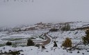 Nevada