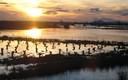 RIO CIGUELA VILLARRUBIA DE LOS OJOS