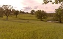 Tenebrón