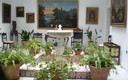 PATIO SEVILLANO