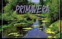 PRIMAVERA