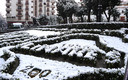 linares nevado