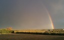 Tras las tormenta en Montilla