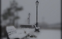 Navalagamella nevada