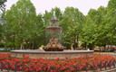 HOMENAJE DE LOS PATIOS CORDOBESE PARA EL MUNDO 1ª