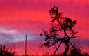 An Alorahills Sunset