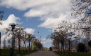 Mi paseo desde casa a la grajera