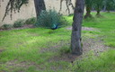 Parque Samá, en Cambrils, Tarragona