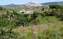 viajamos a los Pirineos