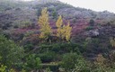 Colores de Otoño y Cortes de la Naturaleza