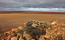 llanura albaceteña