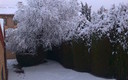 La nevada de enero en Ávila