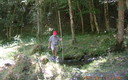 Peseo por los montes de Valvanera