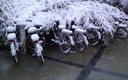 Jaen nevado
