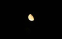 luna , sola ante la noche