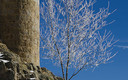Cálido invierno